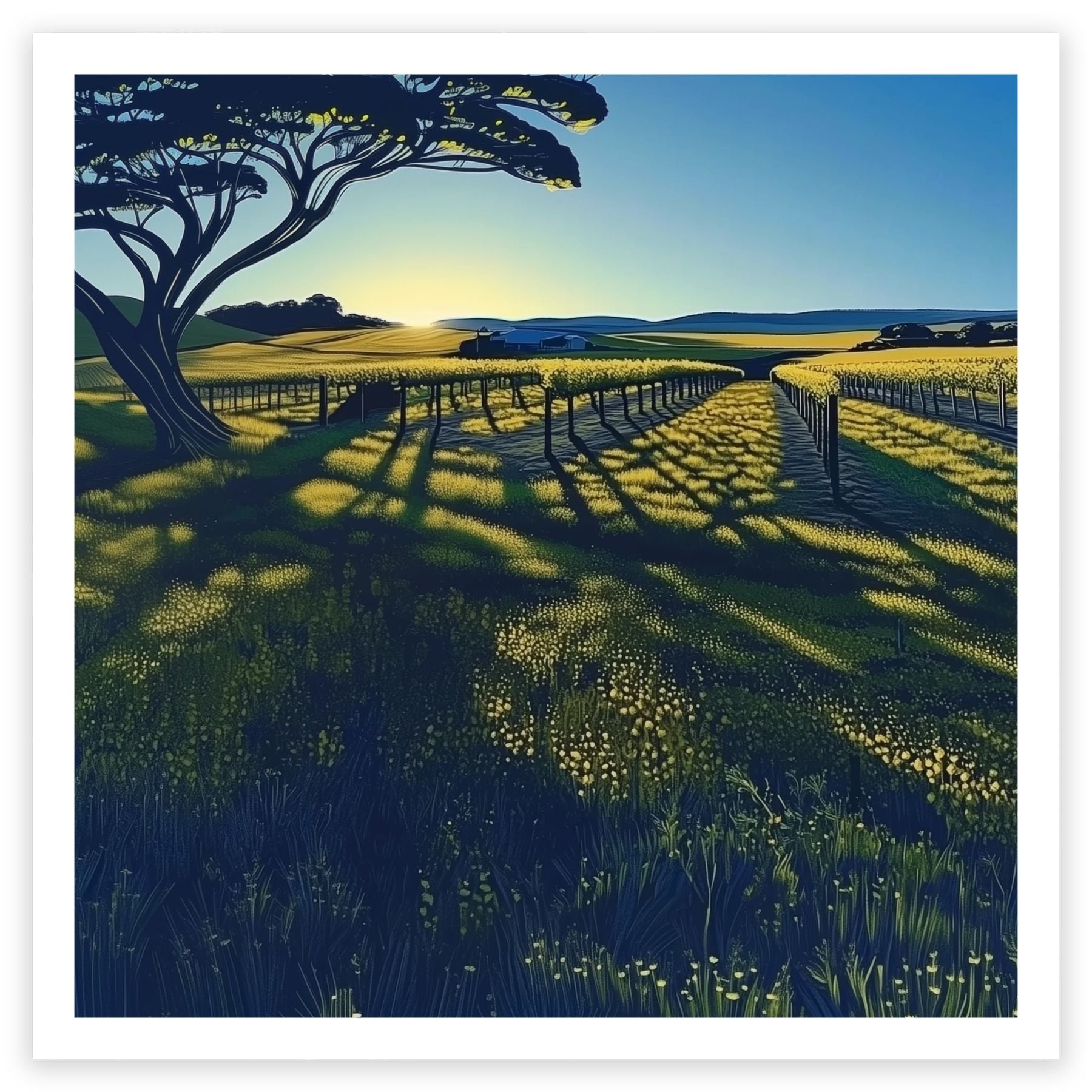 Barossa Valley