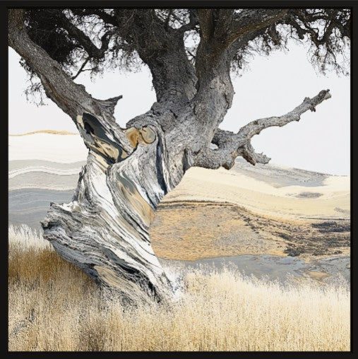 Gracefully Twisted (Canvas)