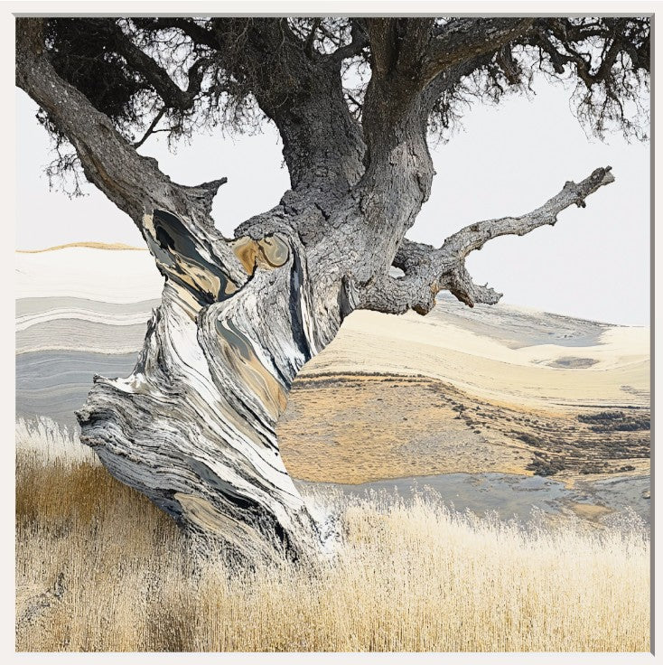 Gracefully Twisted (Canvas)