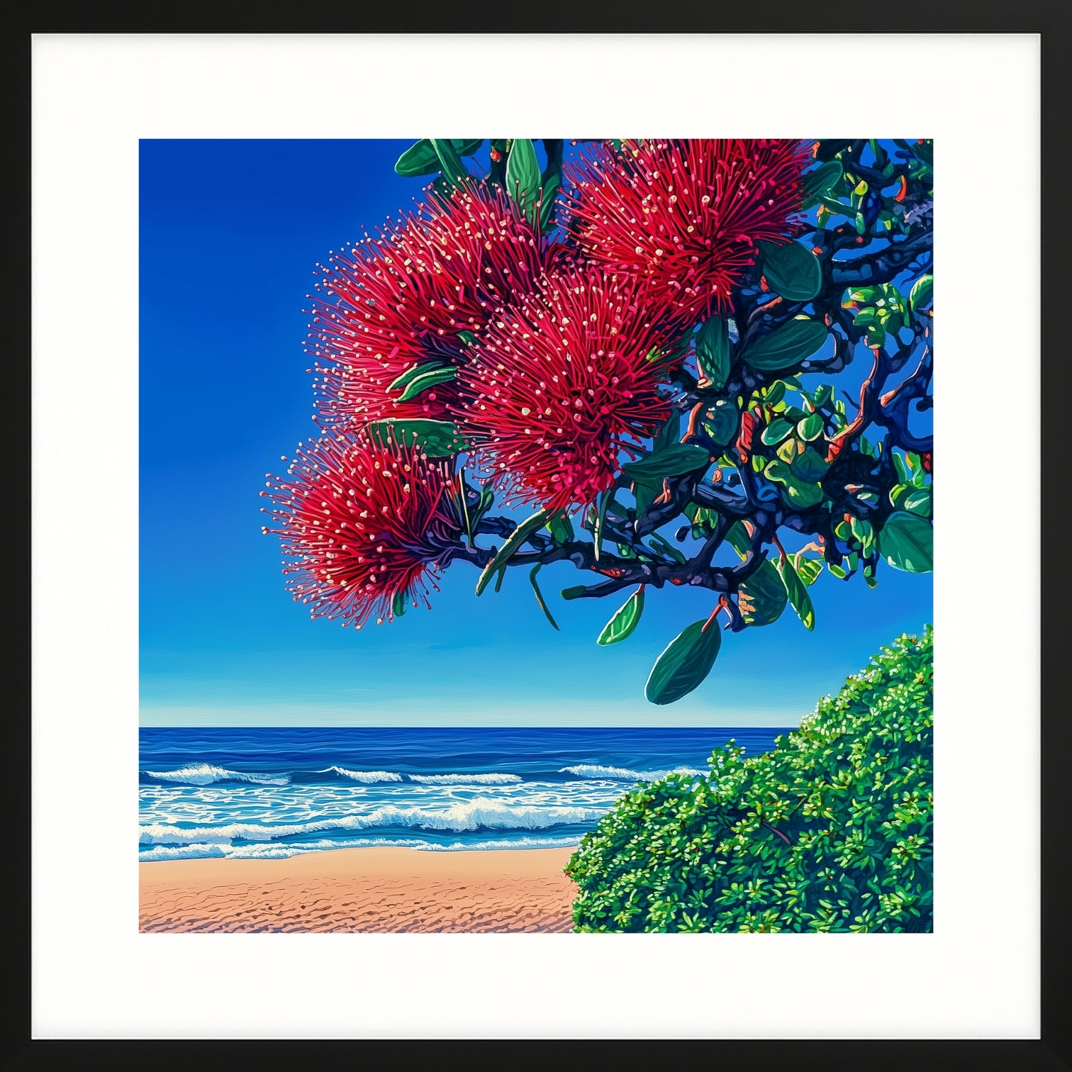 East Coast Pohutukawa