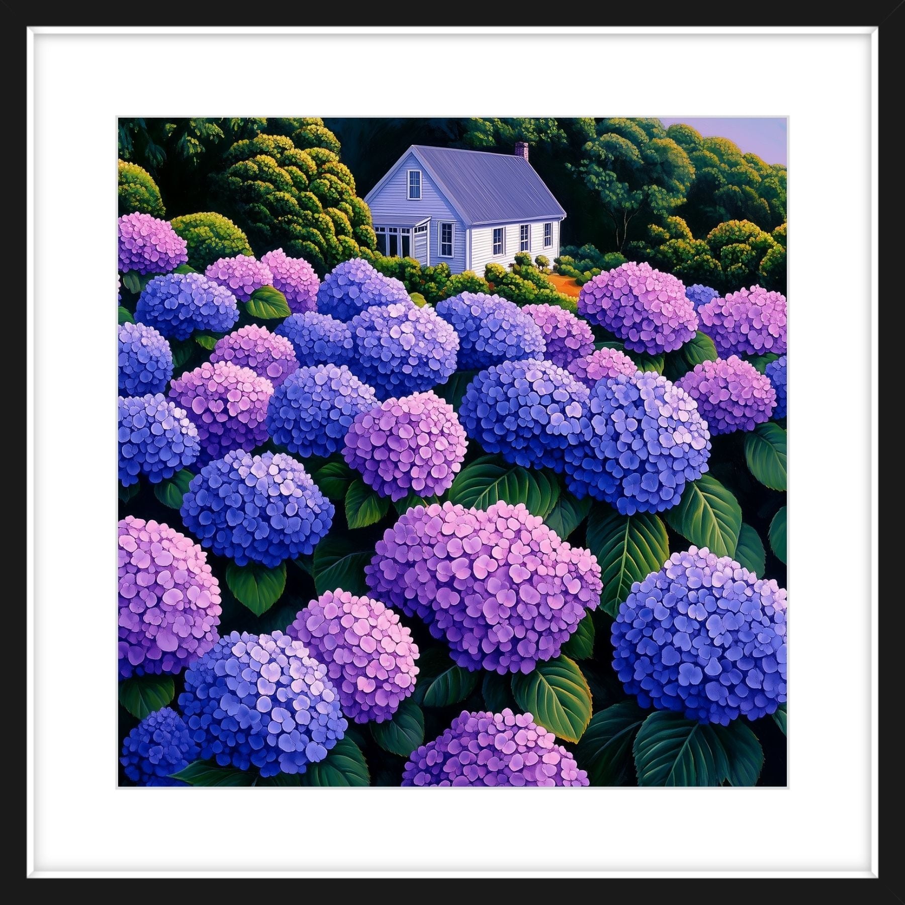 Hydrangeas