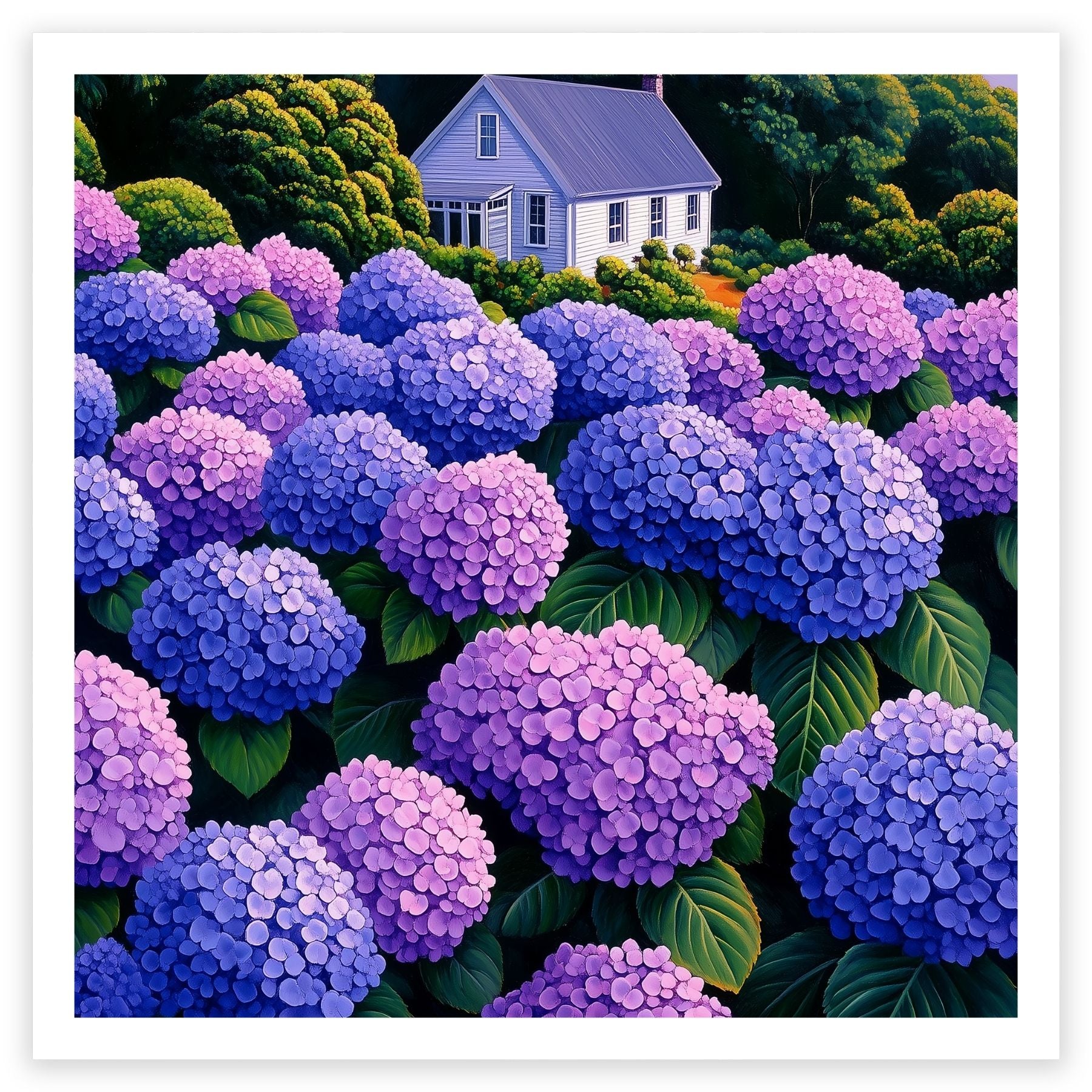 Hydrangeas