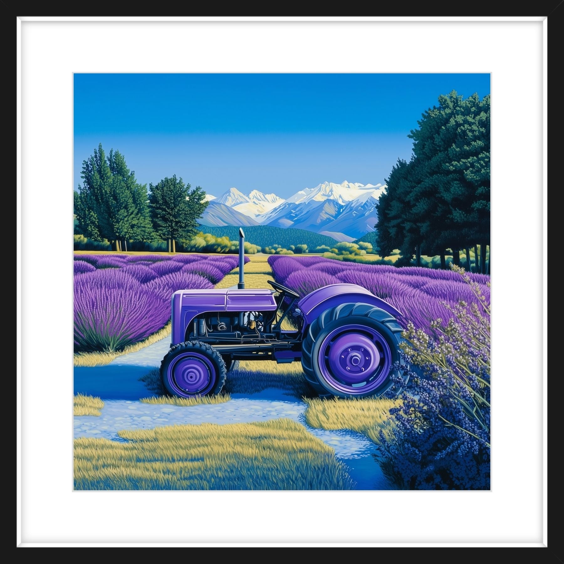 Lavender Farm