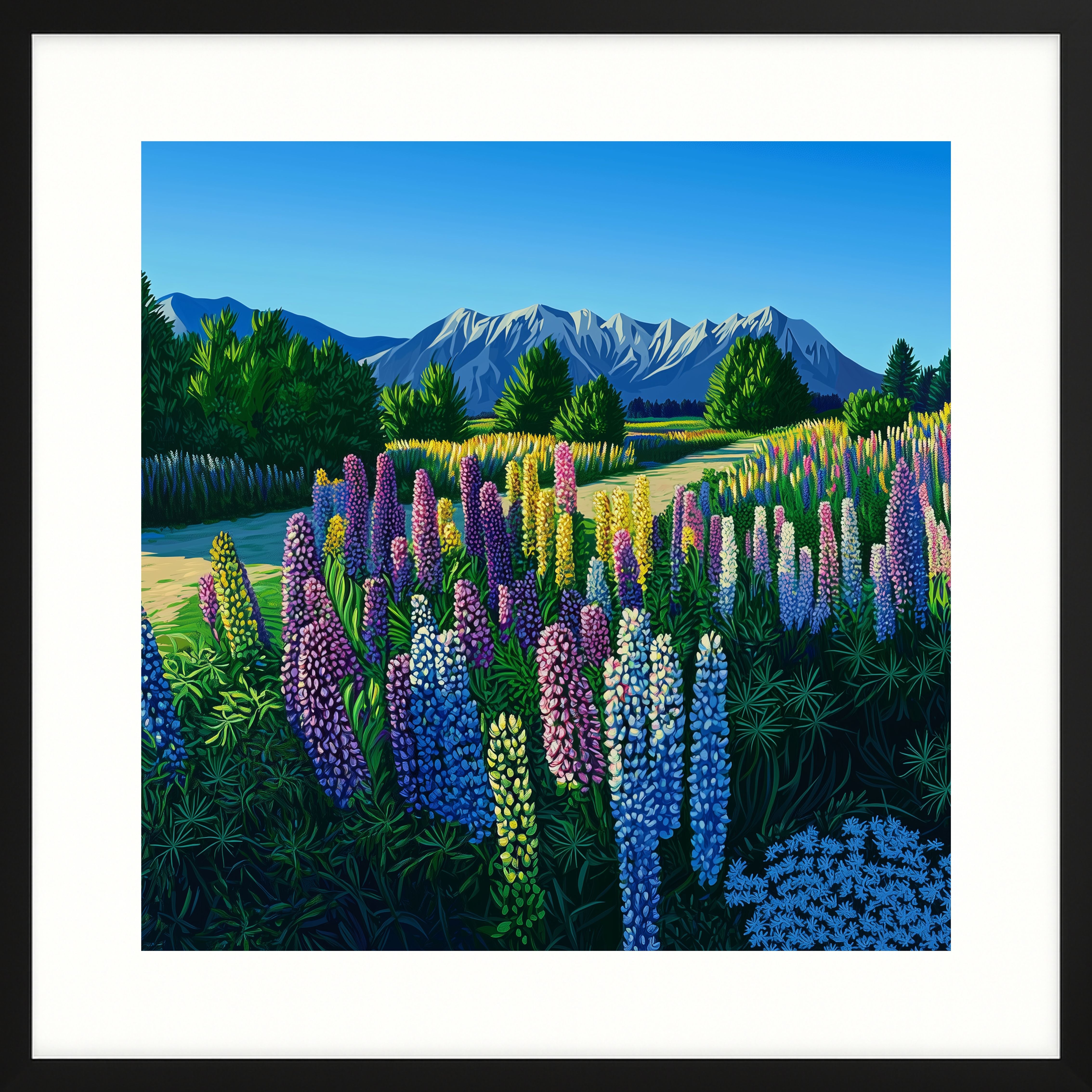 Mountain Lupins