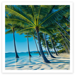 art print of palm cove, NSW, Australia