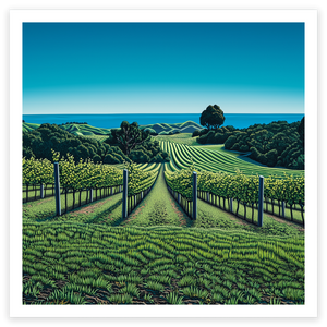 art print of vineyard on waiheke island with sea in background