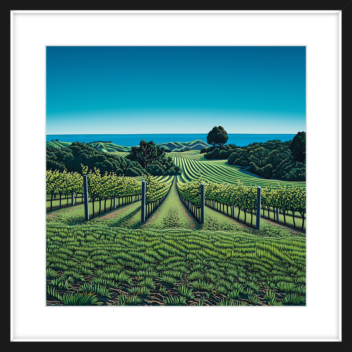 Waiheke Vineyard