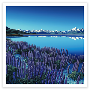 art print of lake tekapo with purple lupins flowers and blue lake new zealand mountains
