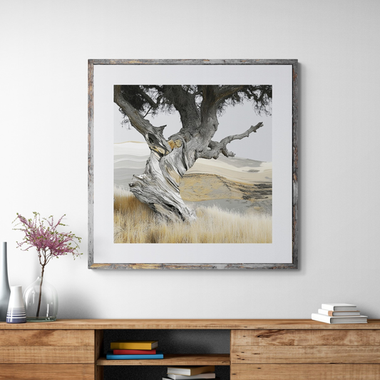 Beyond Stillness Collection