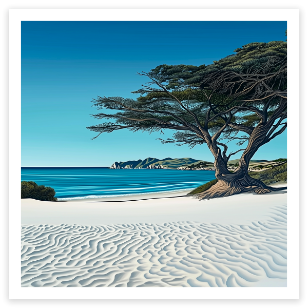 Carmel Beach