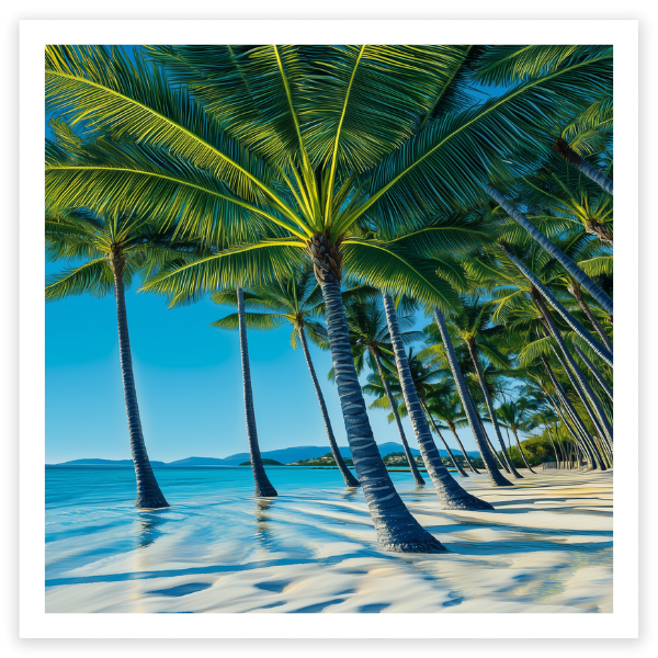 art print of palm cove, NSW, Australia
