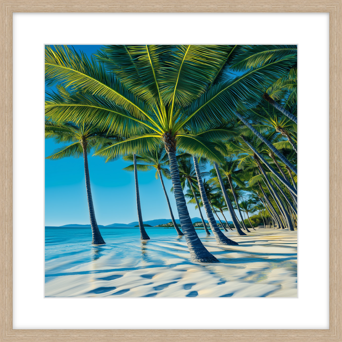 Palm Cove