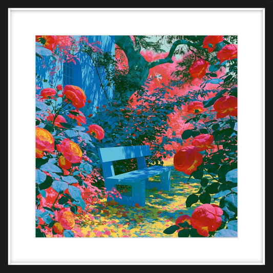 Rose Garden