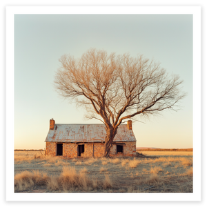 art print of old brick and iron house with big eucalyptus tree in outback Australia