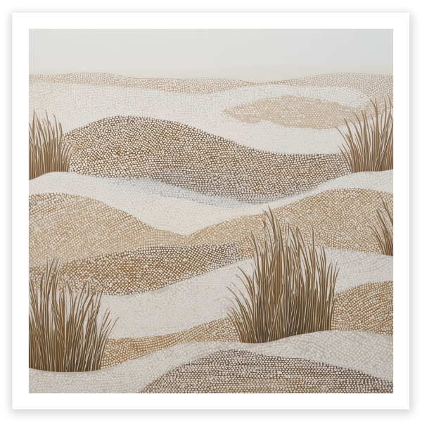 Sand Dunes and Tussock