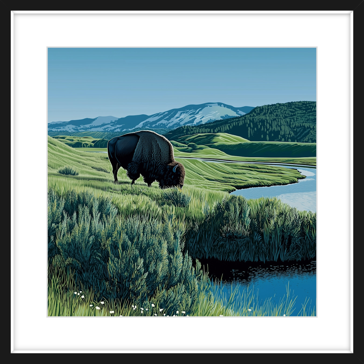 Yellowstone Bison